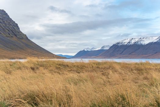 Westfjords of Iceland view into fjord and snow covered mountain tops behind meadow during fall