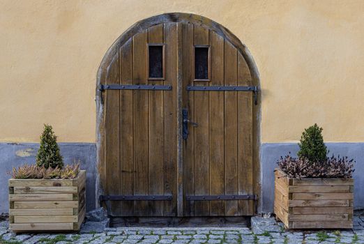 Old door decore by two flowers in the street