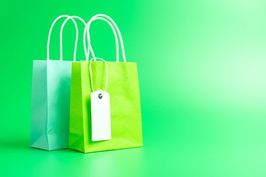 Two green shopping or gift bags with blank label tag isolated on green background
