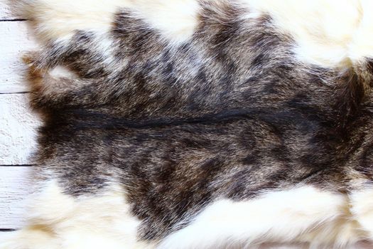 The picture shows a piece of a cat fur