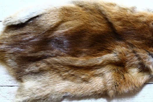 The picture shows a piece of a fox fur