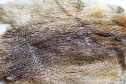 The picture shows a piece of a fox fur