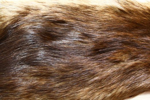 The picture shows a piece of a fox fur