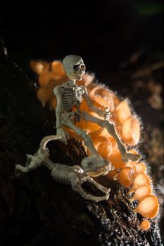 Skeleton sitting with his dog in the woods