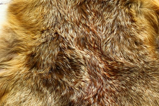 The picture shows a piece of a fox fur