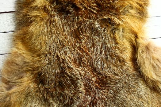 The picture shows a piece of a fox fur