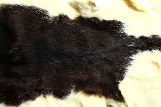 The picture shows a piece of a cat fur