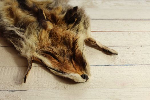 The picture shows a piece of a fox fur