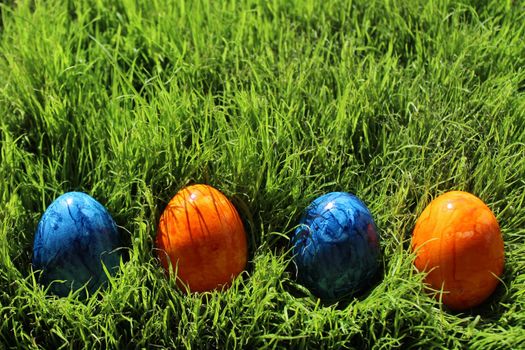 The picture shows coloured eastereggs in eastergrass