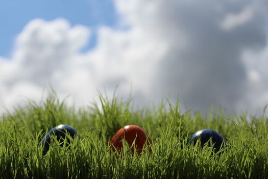 The picture shows coloured eastereggs in eastergrass