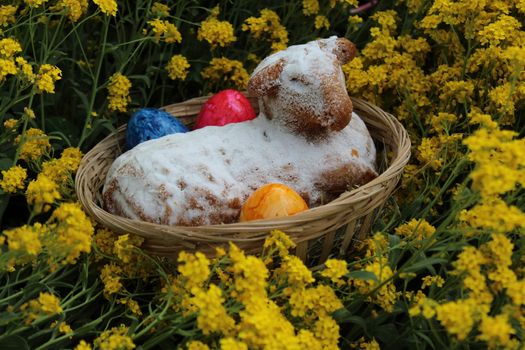 The picture shows an easter lamb and eastereggs in sweet alyssum