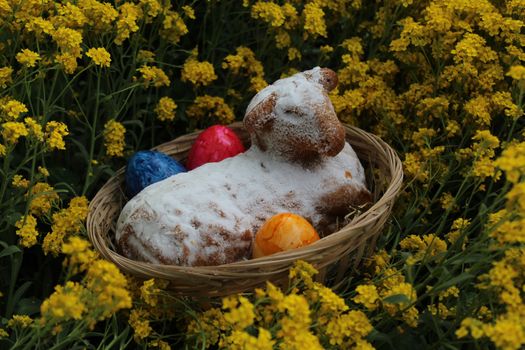 The picture shows an easter lamb and eastereggs in sweet alyssum