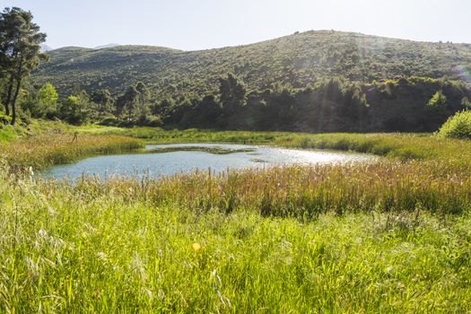 Lake at the dam of Rapentosa in Attica, Greece.