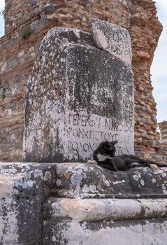 Ephesus, Turkey – 07.17.2019. Ruins of antique Ephesus city on a sunny summer day