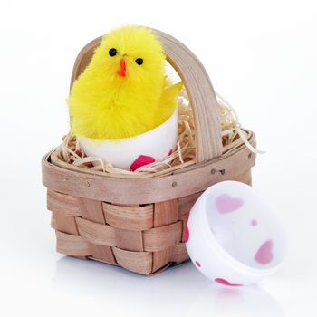 An Easter chick emerging from a toy easter egg