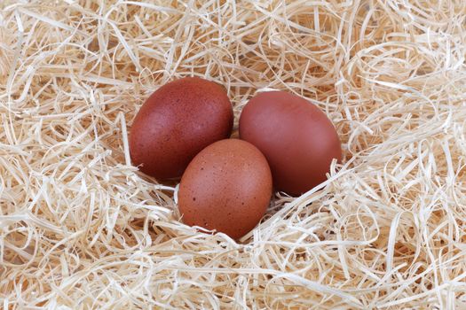 Three brown chicken eggs on a bed of straw