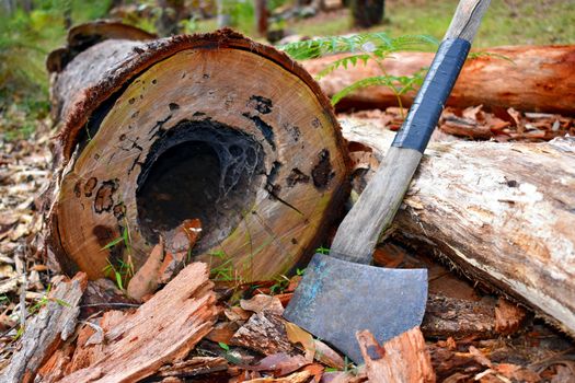 An axe next to a hollow log