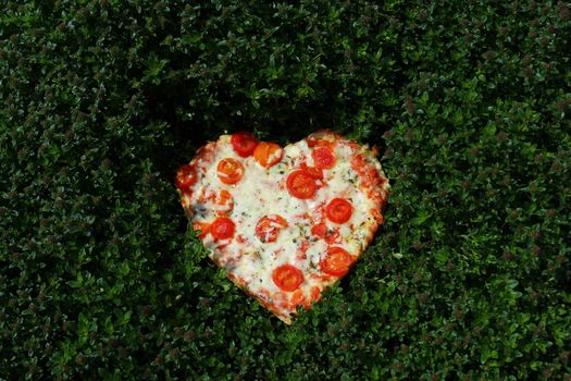 The picture shows a heart pizza in a thyme field