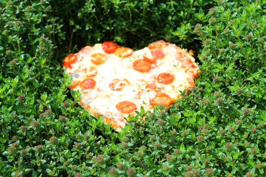 The picture shows a heart pizza in a thyme field