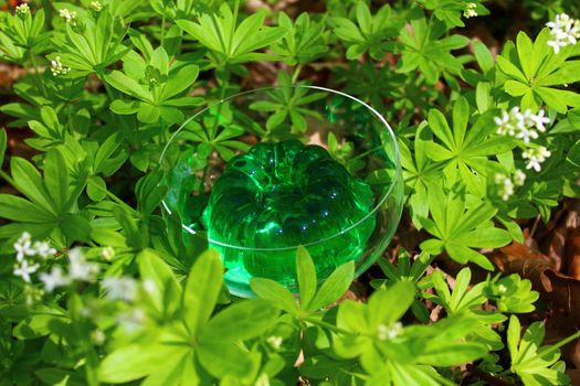 The picture shows a woodruff dessert in a woodruff field