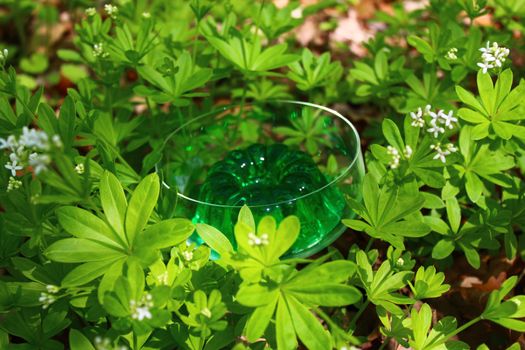 The pictutre shows a woodruff dessert in a woodruff field