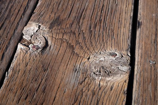 Old wood texture with the woodworm holes