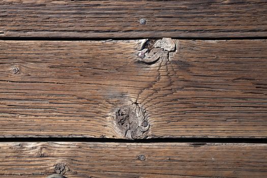 Old wood texture with the woodworm holes