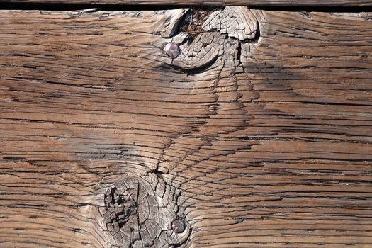 Old wood texture with the woodworm holes