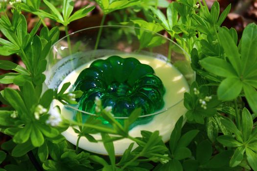 The picture shows a woodruff dessert in a woodruff field