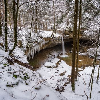 The beautifully icy Scheidegger waterfalls with a hike in the area