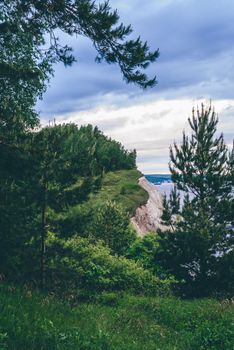 Cliff with birch woodland. View through pine trees