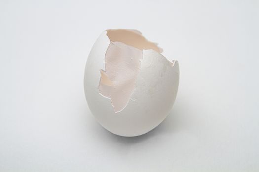 cracked egg with part of the shell brolen showing the inner skin