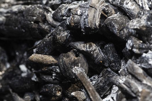 macro shot of black and ashed charcoal