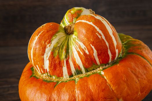 close up view of a turban squash against a dark wood background