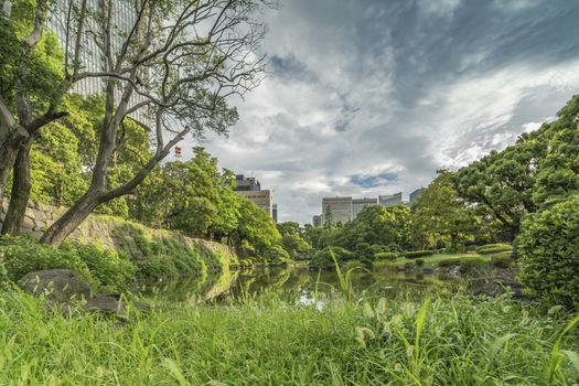 Shinji Pond in the public garden of Hibiya Park bordering the southern moat of the Imperial Palace. The word Shinji is composed of 2 ideograms which are the heart and the form. This type of lake whose contours follow the shape of the ideogram "heart" has several examples in the country. You can see in the background the buildings The Daiso Biz, Toranomon Hills Mori Tower, Hibiya City or the Imperial Hotel.