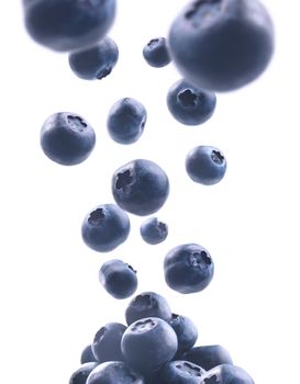 Ripe blueberries levitate on a white background.