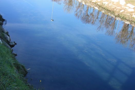 blue water of a pond or small river on the surface of which the reflection of the plants growing on the side is reflected into the wild