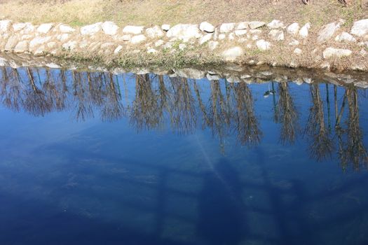 blue water of a pond or small river on the surface of which the reflection of the plants growing on the side is reflected into the wild