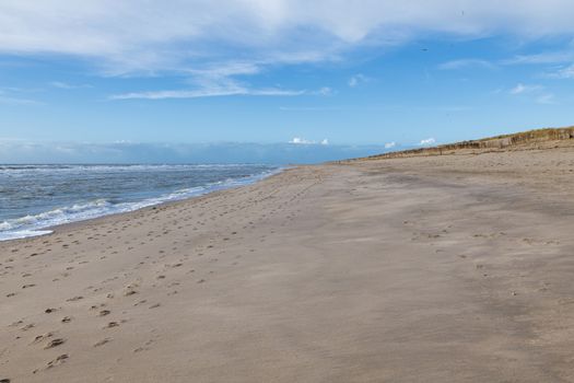 Waves on Shore of a beach with wind and clouds at blue sky near the dunes of holland