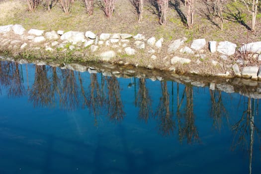 blue water of a pond or small river on the surface of which the reflection of the plants growing on the side is reflected into the wild