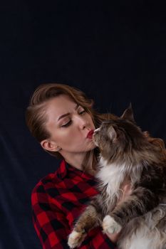 Fashion photo of pretty girl with maine coon cat on hands. Maine coon cat with beautiful woman on gray background.