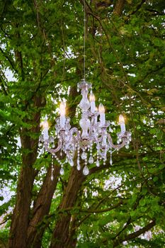 Crystal Chandelier in the forest, the Netherlands, Lisse