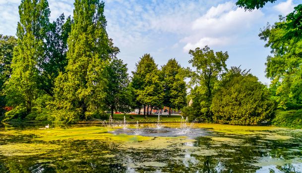 the pond with water fountains in the city park Valkenberg of breda, Nature scenery of the Netherlands