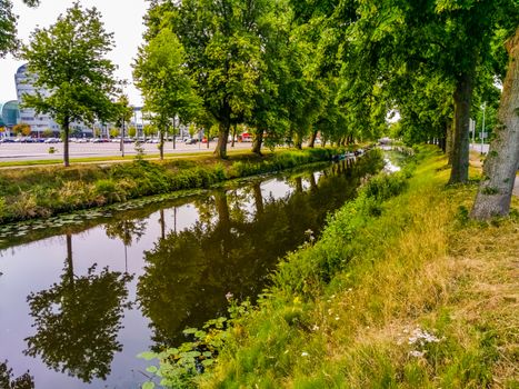 city channel with green grass and trees in breda city, The netherlands