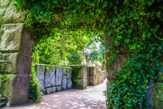 stone passage wall overgrown with ivy leaves, Beautiful garden architecture