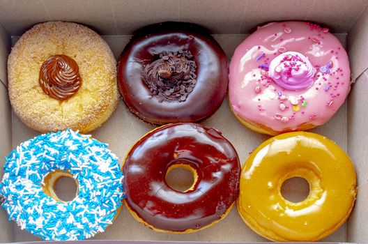 Top view Inside of a Tim Hortons six donuts box, with a: Dulce de Leche, Chocolate Truffle, Strawberry, Vanilla Dip, Chocolate, Maple Dip Donut.