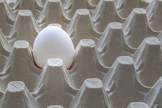 A single white egg on a cardboard holder. Egg Filler Flats. Eating egg concept.
