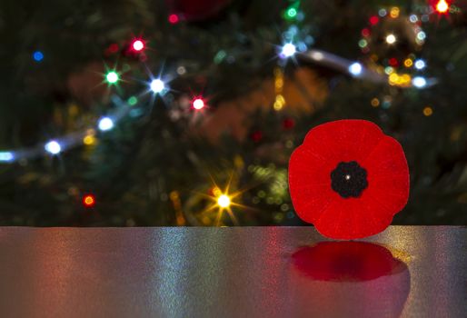 Remembrance Day Poppy Flower with a shadow with lights on the background