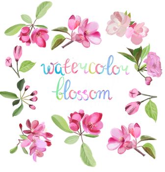 Watercolor beauty illustration with blossom pink cherry and apple tree flowers and inscription watercolor blossom.