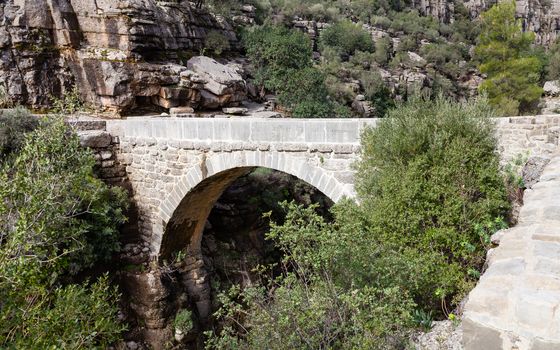 A view of the Roman Oluklu bridge that crosses Koprulu Canyon.  Koprulu Canyon is a National Park in the province of Antalya, south western Turkey.